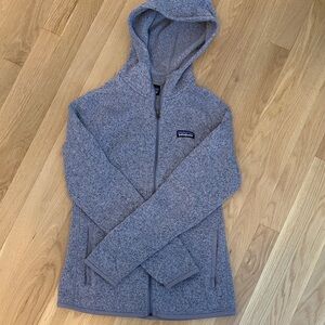Patagonia Heather Gray Fleece Hoodie